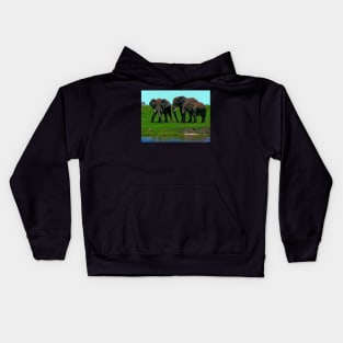 Elephants, Chobe National Park, Botswana Kids Hoodie